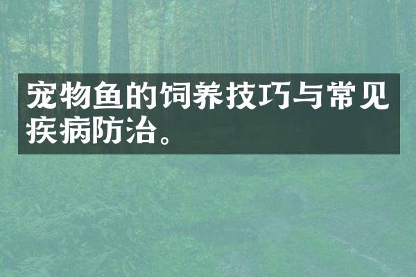 宠物鱼的饲养技巧与常见疾病防治。