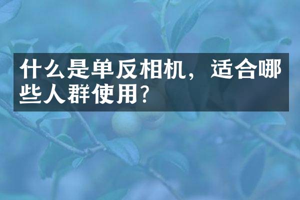 什么是单反相机，适合哪些人群使用？