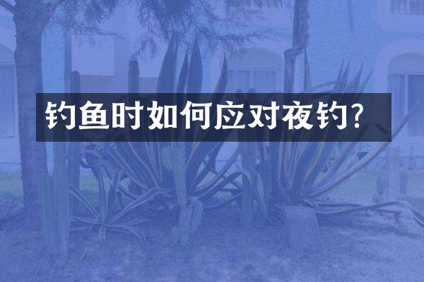 钓鱼时如何应对夜钓？