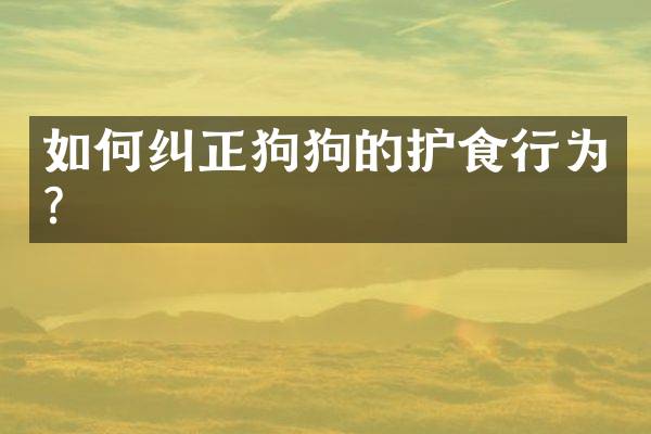 如何纠正狗狗的护食行为？