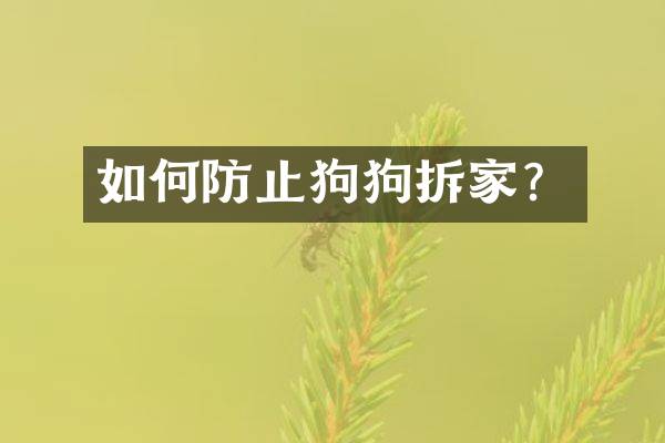 如何防止狗狗拆家？