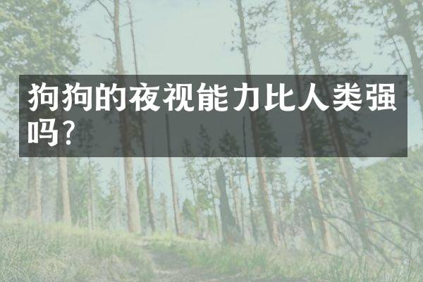 狗狗的夜视能力比人类强吗？