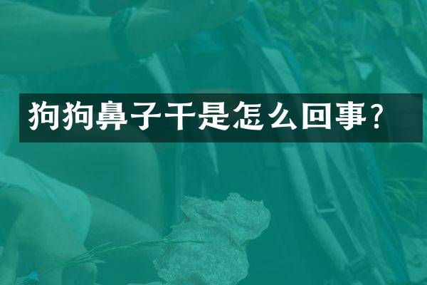 狗狗鼻子干是怎么回事？