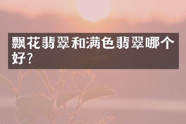飘花翡翠和满色翡翠哪个好？