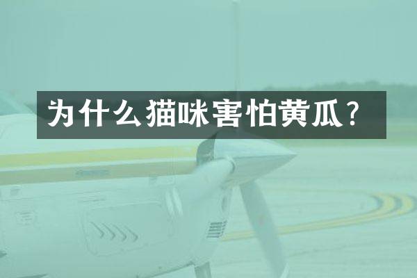 为什么猫咪害怕黄瓜？