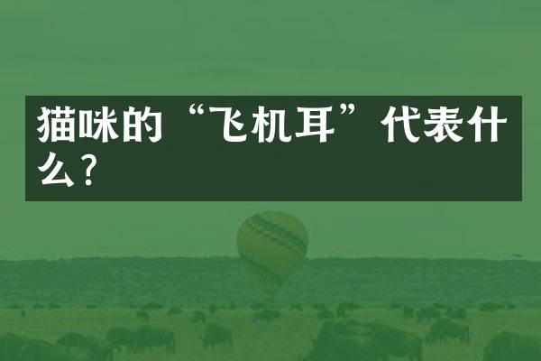 猫咪的&ldquo;飞机耳&rdquo;代表什么？