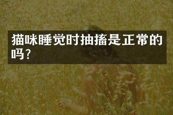 猫咪睡觉时抽搐是正常的吗？