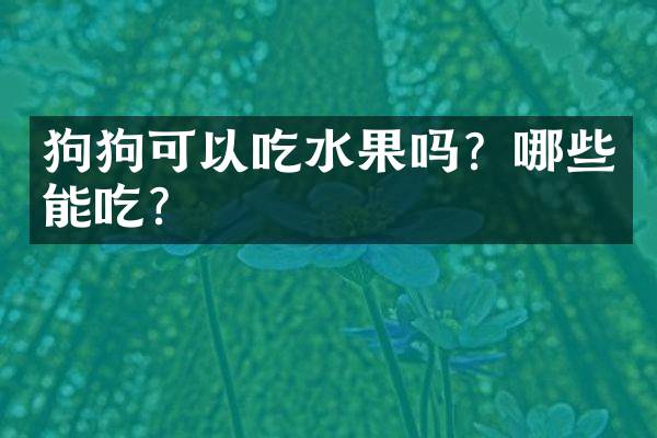 狗狗可以吃水果吗？哪些能吃？
