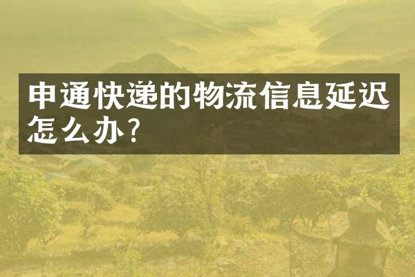 申通快递的物流信息延迟怎么办？