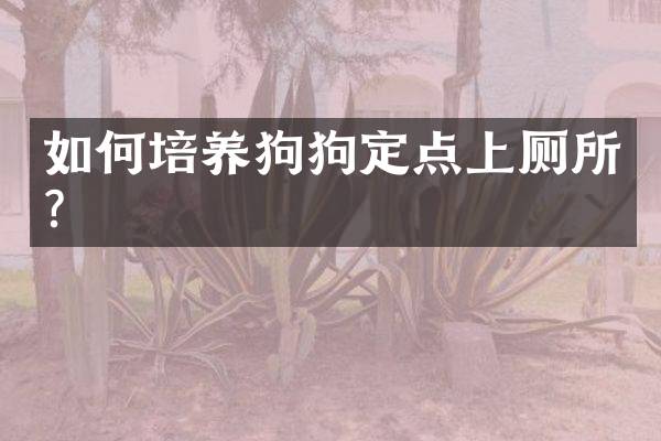 如何培狗定点上厕所？