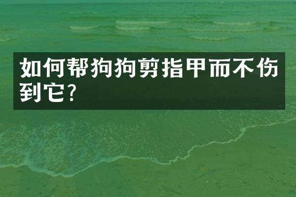 如何帮狗狗剪指甲而不伤到它？
