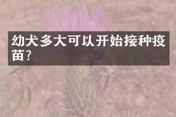 幼犬多大可以开始接种疫苗？