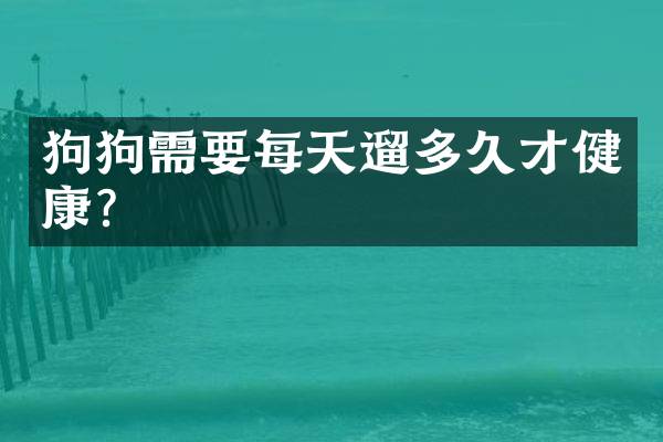 狗狗需要每天遛多久才健康？
