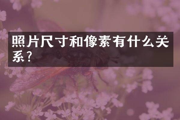 照片尺寸和像素有什么关系？