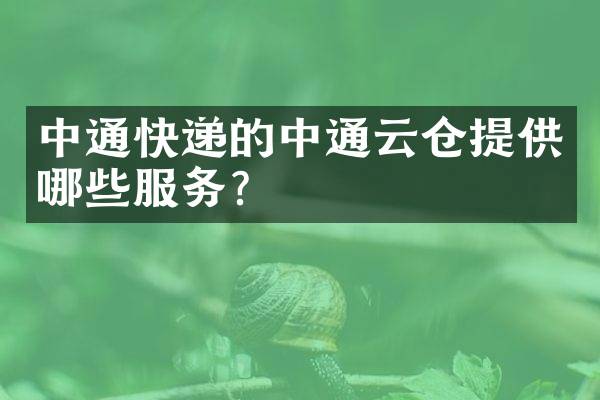 中通快递的中通云仓提供哪些服务？