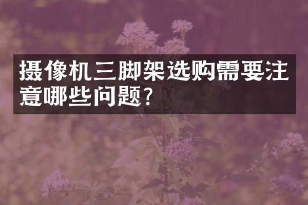 摄像机三脚架选购需要注意哪些问题？