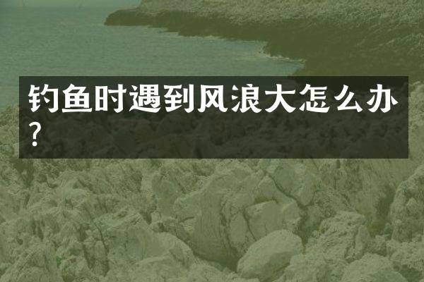钓鱼时遇到风浪大怎么办？