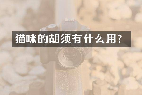 猫咪的胡须有什么用？