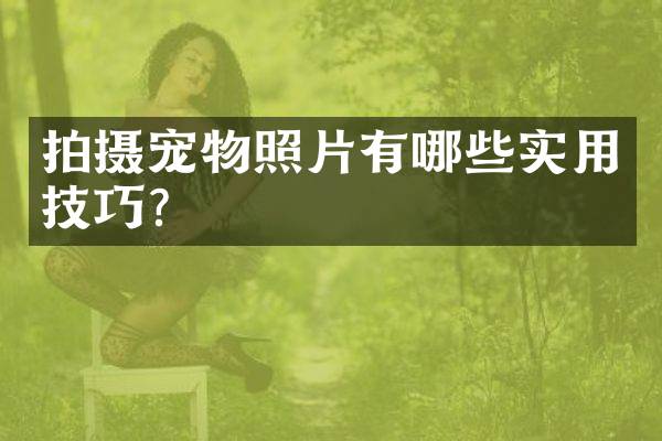 拍摄宠物照片有哪些实用技巧？