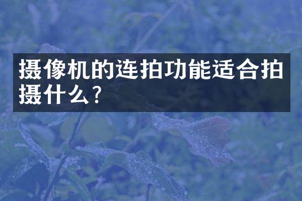 摄像机的连拍功能适合拍摄什么？