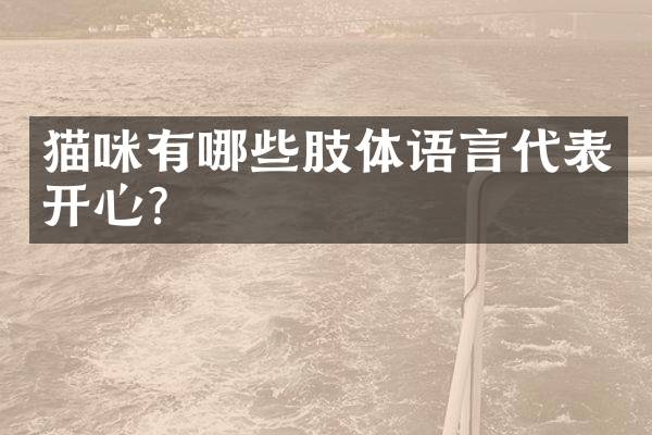 猫咪有哪些肢体语言代表开心？