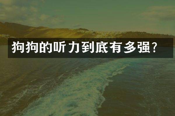狗狗的听力到底有多强？