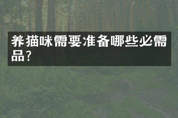 养猫咪需要准备哪些必需品？