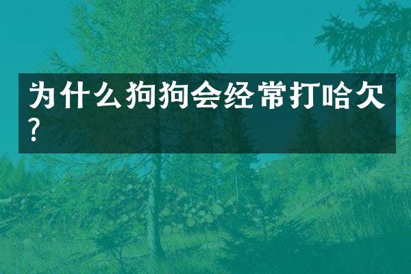 为什么狗狗会经常打哈欠？