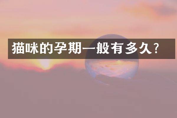 猫咪的孕期一般有多久？