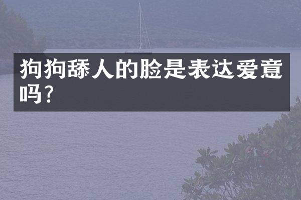 狗狗舔人的脸是表达爱意吗？