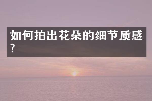如何拍出花朵的细节质感？