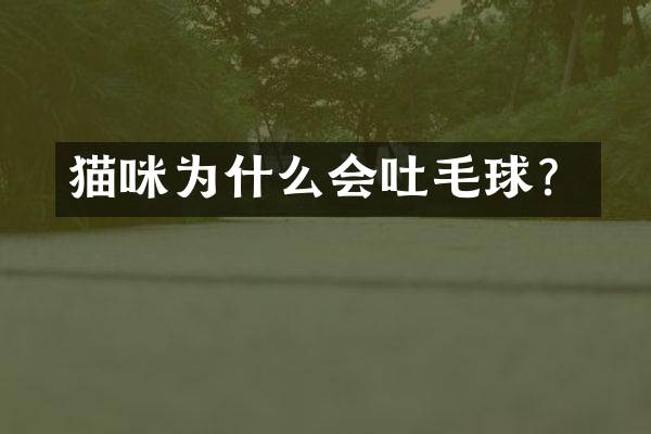 猫咪为什么会吐毛球？