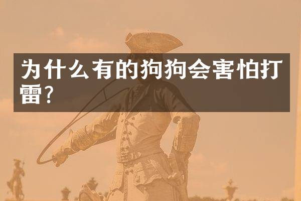 为什么有的狗狗会害怕打雷？