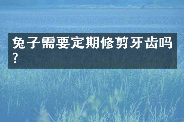 兔子需要定期修剪牙齿吗？