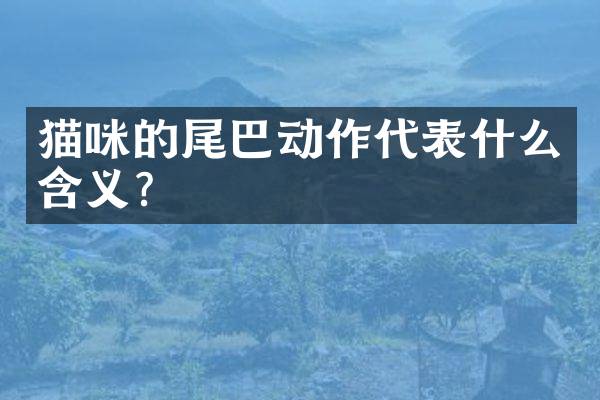 猫咪的尾巴动作代表什么含义？