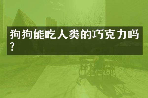 狗狗能吃人类的巧克力吗？