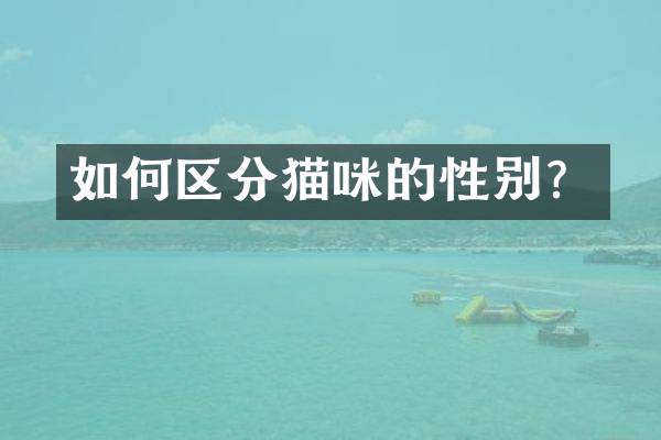 如何区分猫咪的性别？
