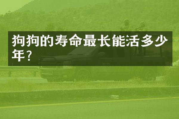 狗狗的寿命最长能活多少年？