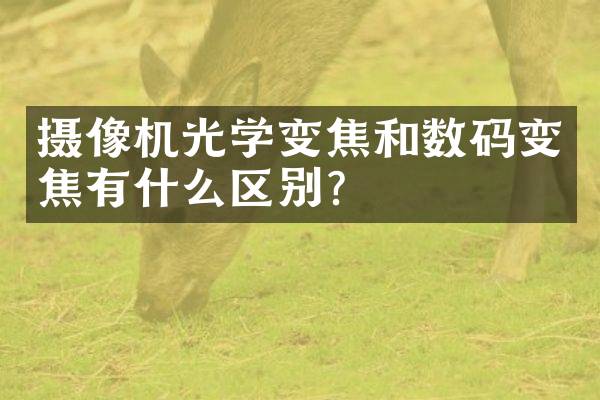 摄像机光学变焦和数码变焦有什么区别？