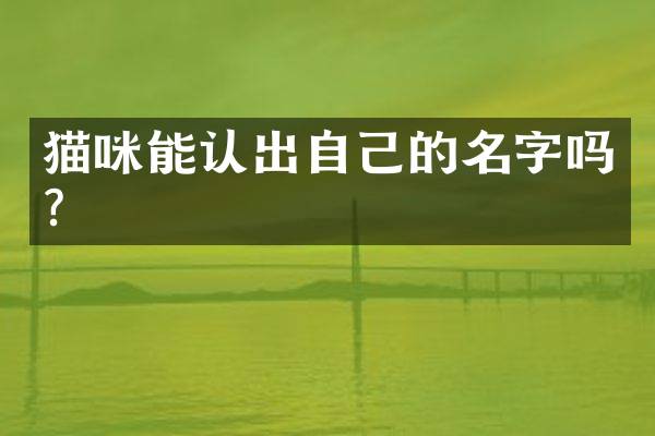 猫咪能认出自己的名字吗？