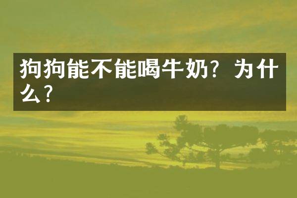 狗狗能不能喝牛奶？为什么？
