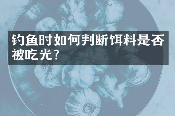 钓鱼时如何判断饵料是否被吃光？