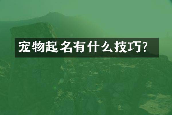 宠物起名有什么技巧？