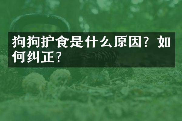 狗狗护食是什么原因？如何纠正？