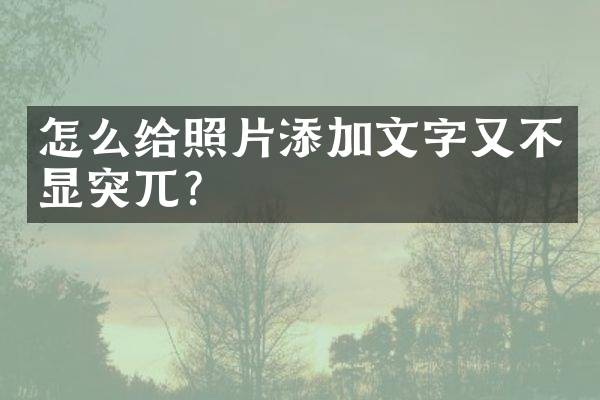 怎么给照片添加文字又不显突兀？