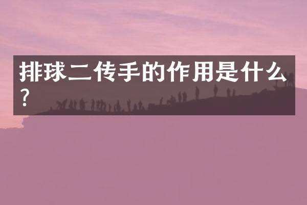 排球二传手的作用是什么？