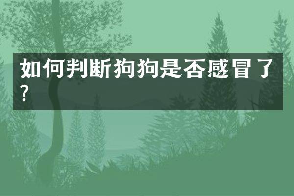 如何判断狗狗是否感冒了？