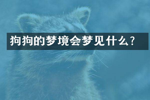 狗狗的梦境会梦见什么？