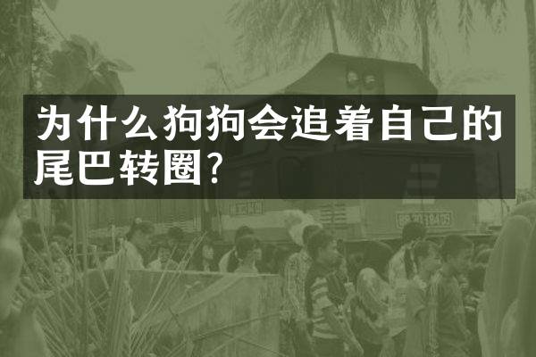 为什么狗狗会追着自己的尾巴转圈？