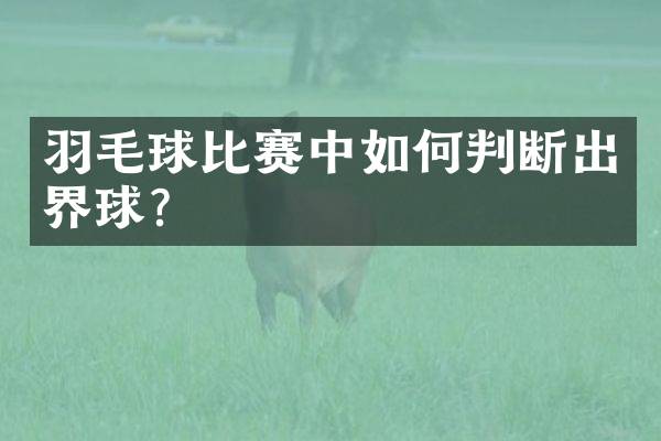羽毛球比赛中如何判断出界球？